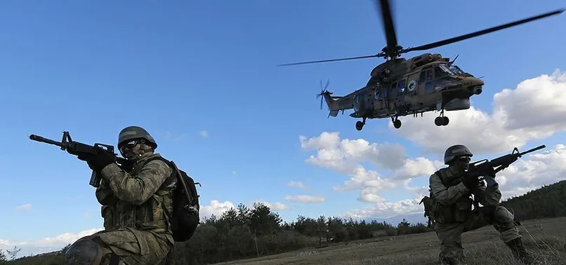 Son dakika: Mardin'de terör örgütü PKK'ya yönelik operasyon
