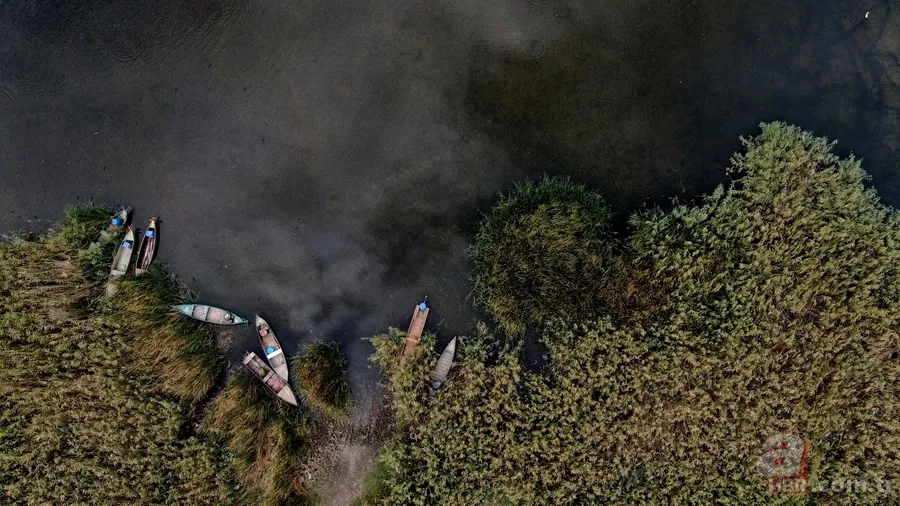 Uluabat Gölü yok olma tehlikesiyle karşı karşıya! 2