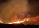 Aydın’da orman yangını