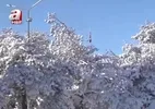 Kar yağışı yurdu etkisi altına aldı!