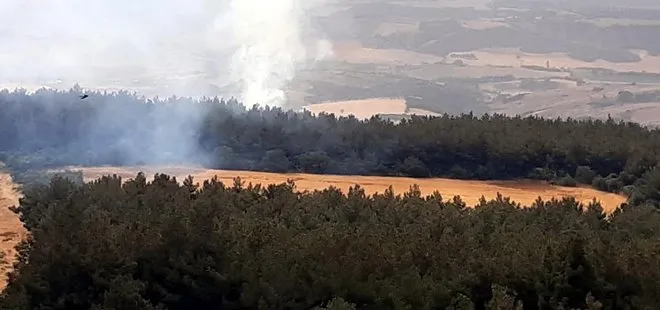 Yıldırım düştü orman yangını çıktı! Alevler kontrol altına alındı