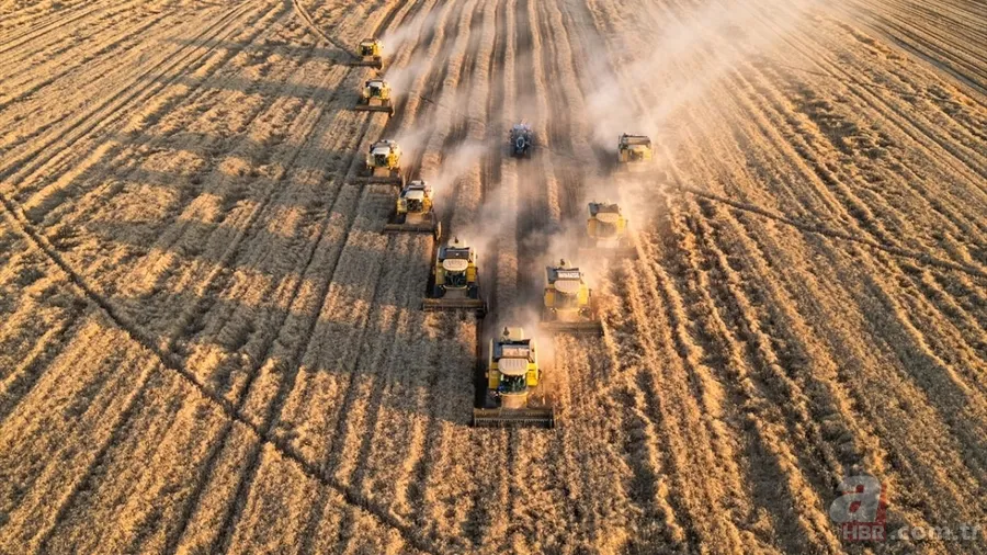Mazotun tamamı, gübrenin yarısı devletten: Çiftçinin maliyeti düşecek 7