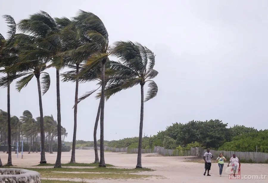 Irma Kasırgası Florida'ya ulaştı 1