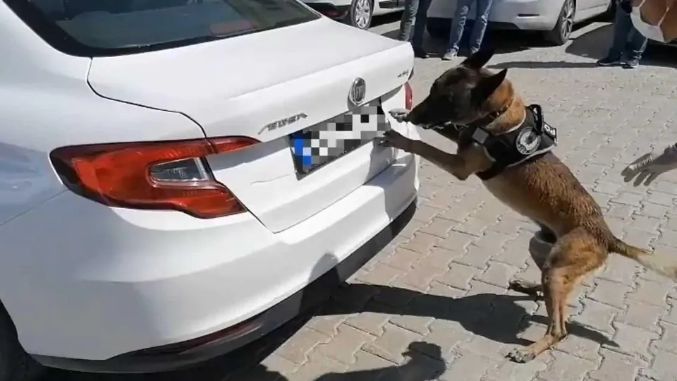 Zehir tacirlerine dev operasyon! 74 kilo eroin ele geçirildi