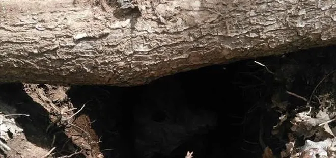 PKK’YA AİT 2 SIĞINAK İMHA EDİLDİ