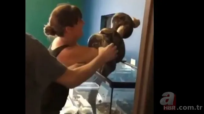 Her şey bir anda oldu! Dev piton yılanı bakıcısına böyle saldırdı 7