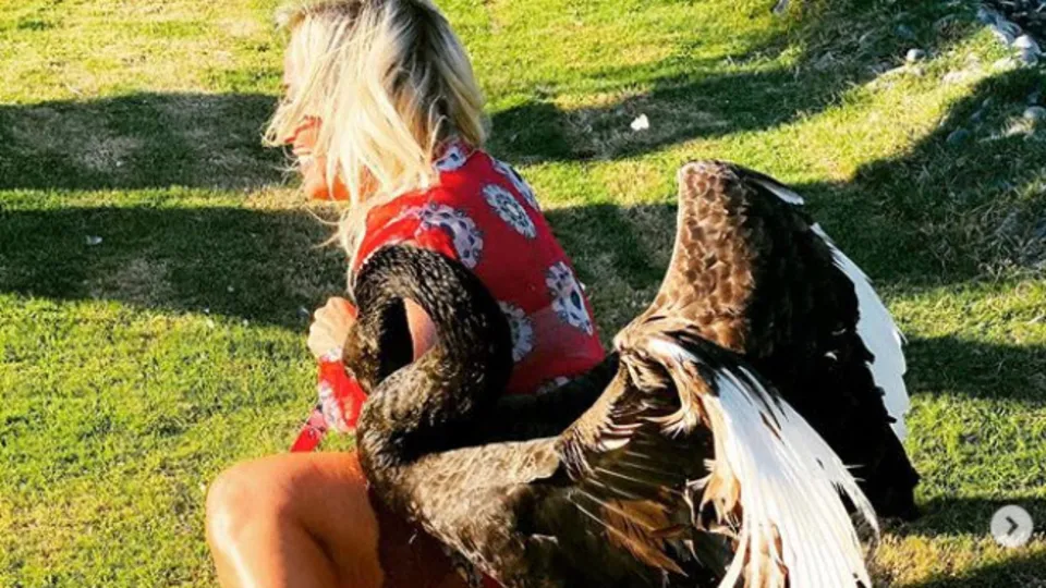 Sunucu Saba Tümer’e kuğu saldırdı!