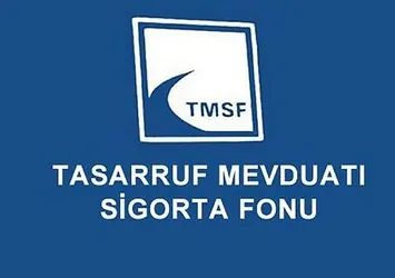 TMSF'ye devredilen şirketlerle ilişkin düzenleme