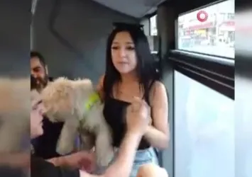 Ankara'da otobüse köpeği ile bindi olay çıkardı! Kavga anları kamerada