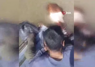 Bu sefer balık değil tosun yakaladılar