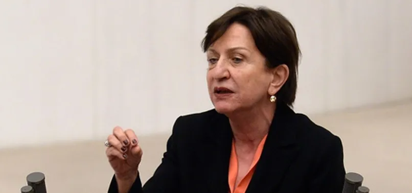 CHP'li Binnaz Toprak alay konusu oldu
