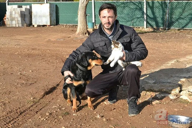 Görenler hayrete düşüyor! Kedi ile köpeğin kıskandıran dostluğu