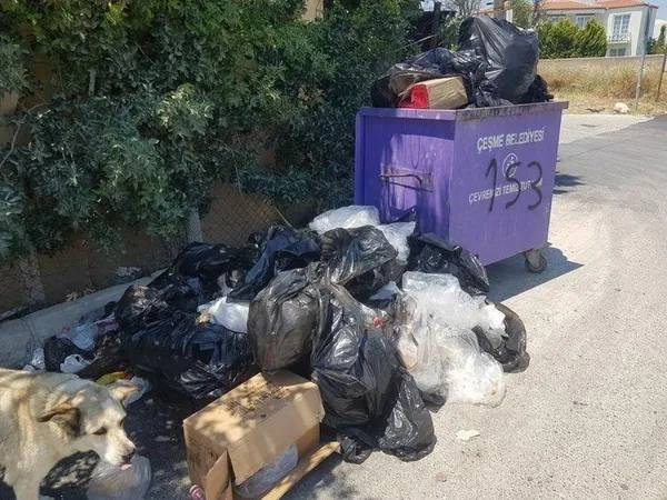 CHP'li İzmir Büyükşehir Belediyesi'nde çöp skandalı! Günlerdir toplanmıyor - 3
