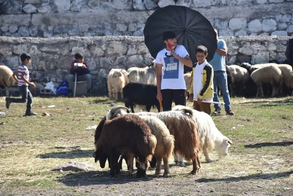 Türkiye hayvancılıkta Avrupa’nın lideri oldu! İspanya ve Yunanistan’ı 3’e katladık