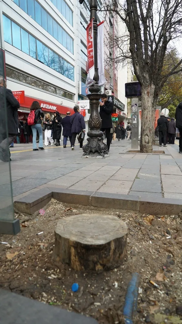 Mansur Yavaş bir gecede onlarca ağacı doğradı! Ankaralılar isyanda: Gezi'de ağaçları savunanlar ağaçları katlediyor - 9