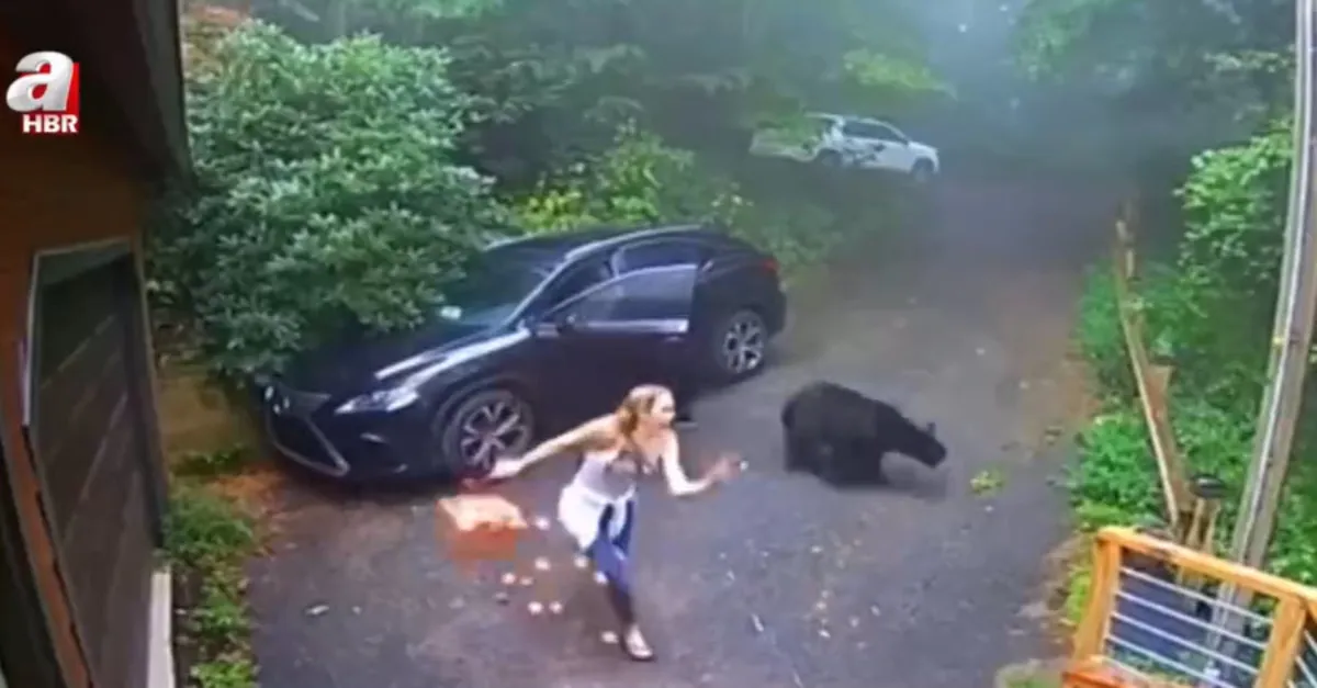 Otomobilinin kapısını açınca dehşete düştü! Aniden çıkan ayı...