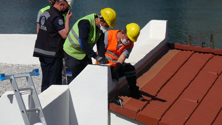 Yılmaz Özdil’in kaçak villasında yıkım başladı! İşte ilk kareler...