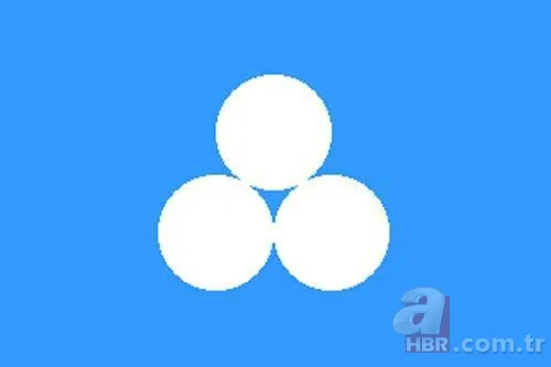 İşte Türklerin soyağacı! Hangi il hangi boydan geliyor? 14