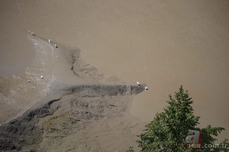 Avrupa'da 500 yılın kuraklığı! Dünya korkuyla izliyor 15