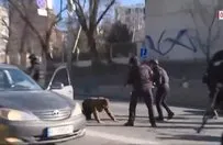 Kiev sokaklarında hareketli anlar! Ukrayna askerleri şüpheli araca müdahale etti