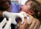 Sarı humma virüsü nedir?