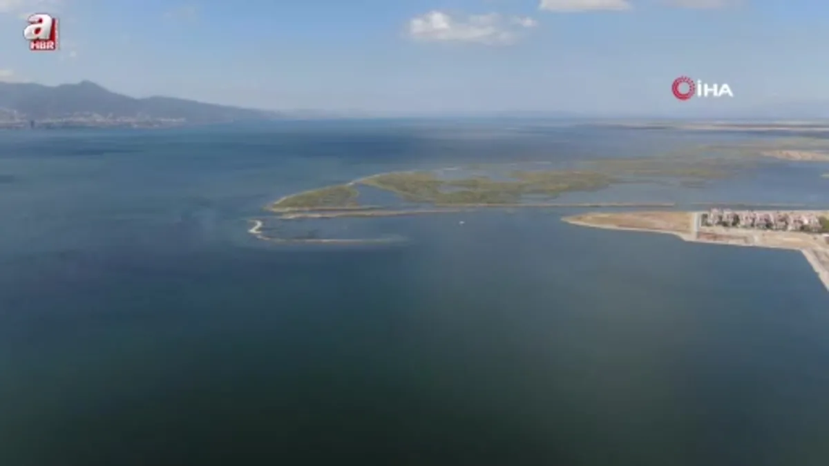 Orkinos ölümlerinin nedeni kirlilik