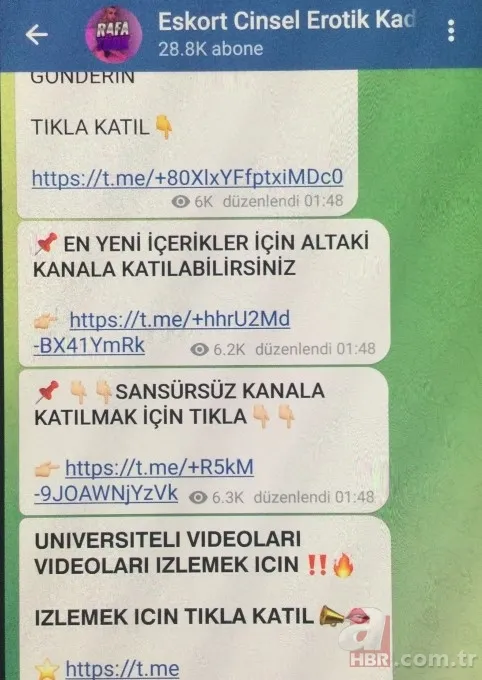 Tam bir suç batağı! Pedofiliden, uyuşturucuya yasa dışı her şey var | Kurallara uymazsa sıradaki Telegram olacak 17