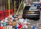 İngiltere’de çöp krizi! Fareler cirit atıyor
