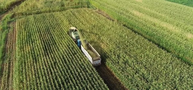 Tarımsal destekte yüzde 27 artış! Tarım ve Orman Bakanlığı açıkladı