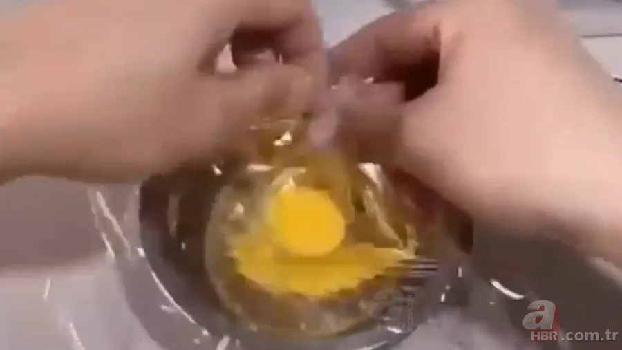 İşte civcivin yumurta içindeki gelişimi 🐣 İğne ile enjekte etti gün gün görüntüledi 🥚 19