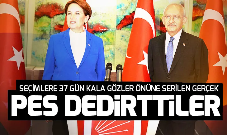 Zillet İttifakı seçmenle alay ediyor! İşte logo detayı...