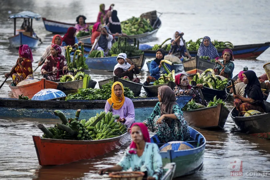 Anadolu Ajansı gözüyle 2016 53