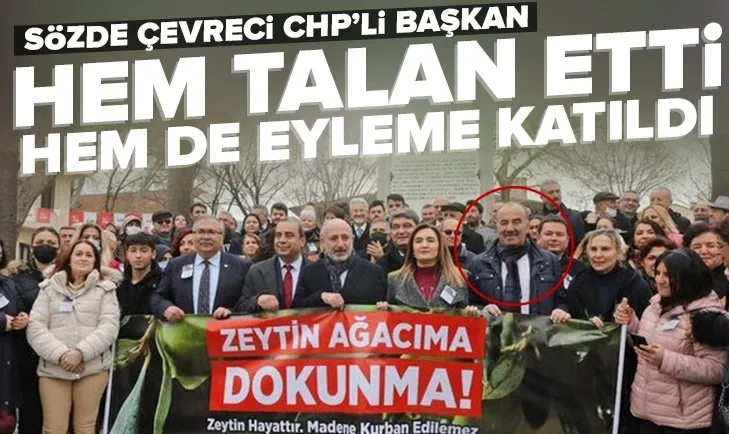 CHP’li başkan zeytinlikleri katletti! Hem talan hem de şov yapıyor