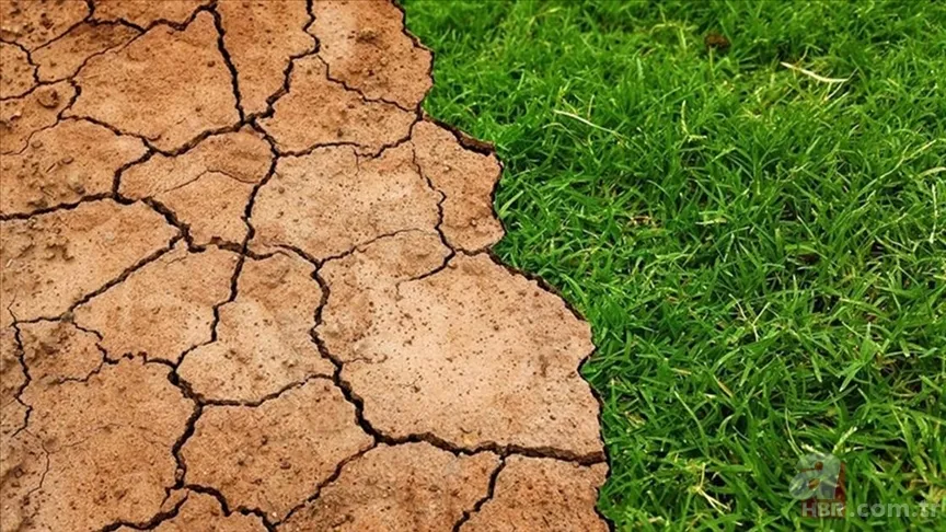 İklim Kanunu yasası Meclis'ten geçti mi, son durum ne? İklim kanunu nedir ve içeriği neler? 1