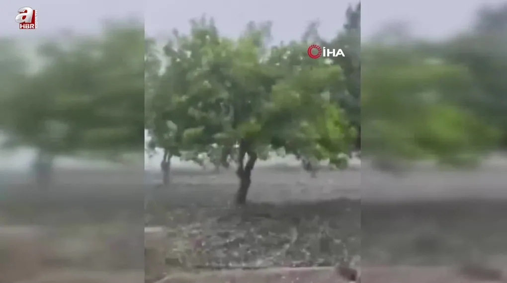 Dolu yağışı ekili alanlara zarar verdi