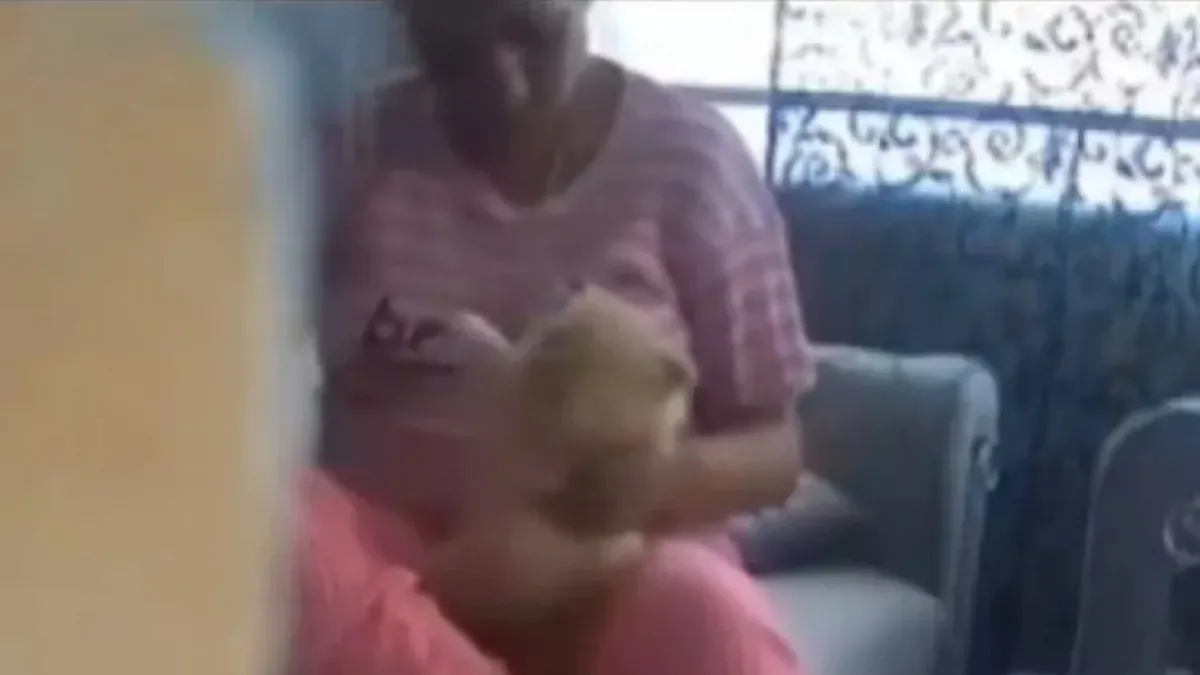 Bursa'da 4 köpeğe kan donduran işkence! Eski sevgili görüntüleri izlediğinde...