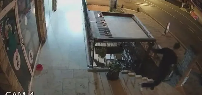 İstanbul’da köpeği boğarak öldürmeye çalıştı! Saldırganın ifadesi 'pes' dedirtti