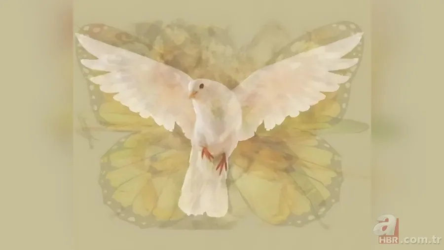 Kişilik testi: İlk fark ettiğiniz hayvan karakterinizin kodlarını veriyor 2