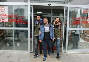 Maltepe'deki pitbull vahşetinde 3 gözaltı
