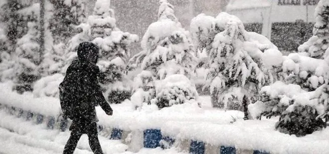 8 Şubat hangi illerde okullar tatil olacak? Yarın okullar kar tatili olacak mı? Kütahya, Afyon, Eskişehir...