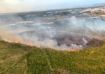 Antalya'daki orman yangını söndürüldü