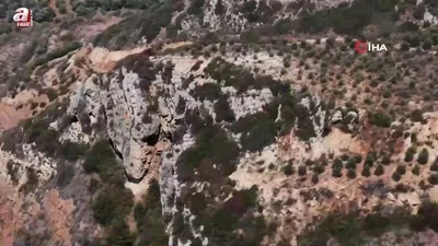 Hatay’da kaçak avcılara operasyon