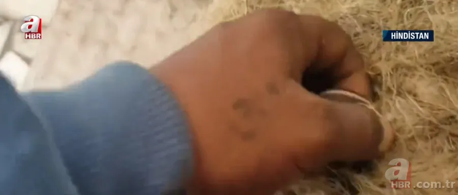 Kapıdan gelen sesler üzerine dışarıya çıkınca şoke oldu! İplik sarılı yumakta... 3