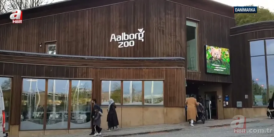 Hayvanat bahçesinden kan donduran çağrı: Evcil hayvanlarınızı yırtıcılara yem yapalım 1