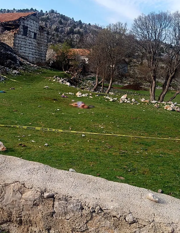 Antalya'da dehşet! Sokak köpekleri yaşlı kadını parçalayarak öldürdü - 1