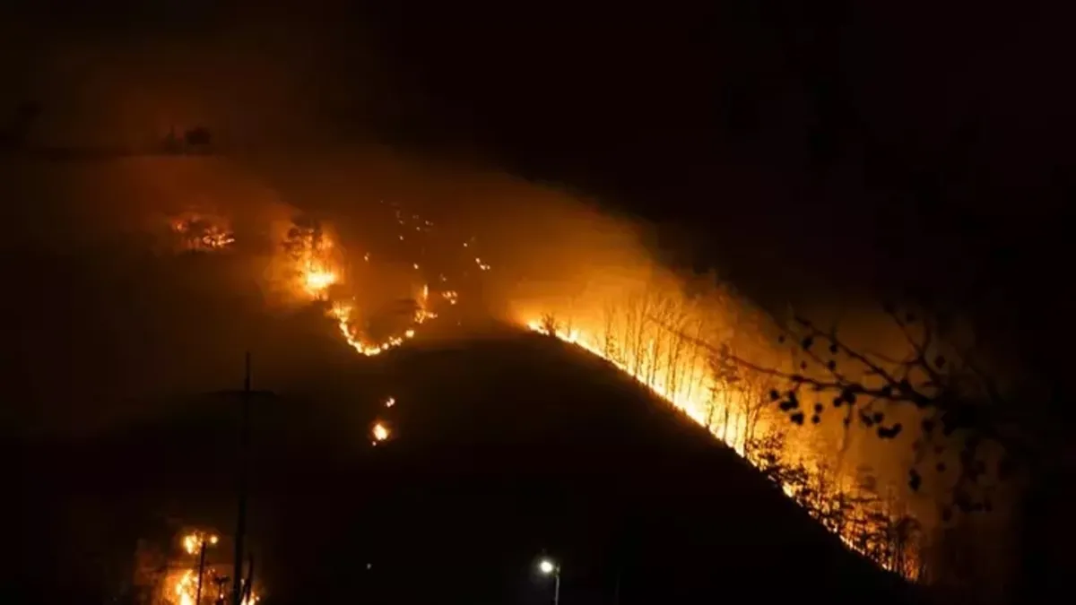 Güney Kore'deki orman yangınları kontrol altına alındı