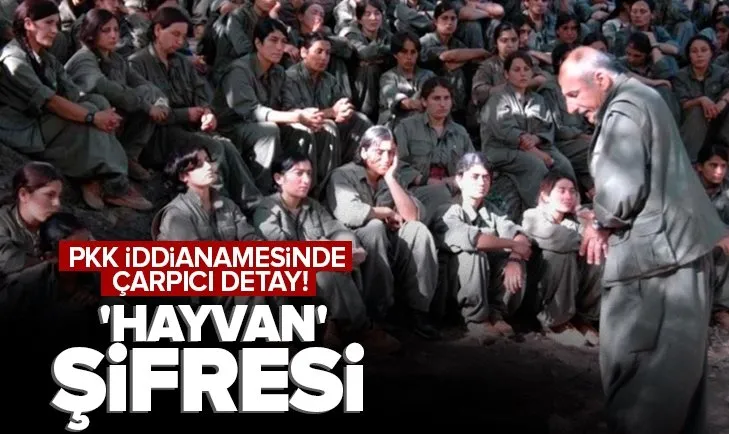 PKK’nın örgüt mensupları için hayvan şifresi kullanması iddianamede: Koyunlar hazır mı?