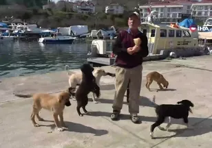 Olta tutkusu ile sokak köpeklerine şefkat
