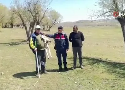 Kayıp küçükbaş hayvanı jandarma buldu