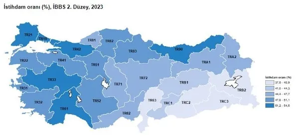 TÜİK duyurdu! 2023 işsizlik rakamları açıklandı | Son 10 yılın en düşük seviyesini gördü